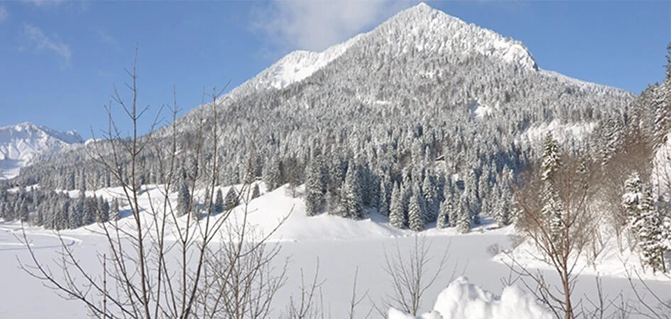 schoen_tanzeck_aiplspitz_de_winter_desk