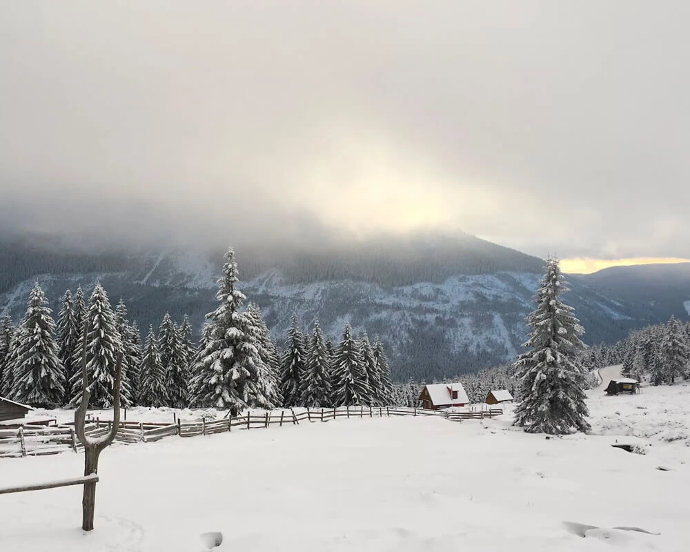 winter-1_1